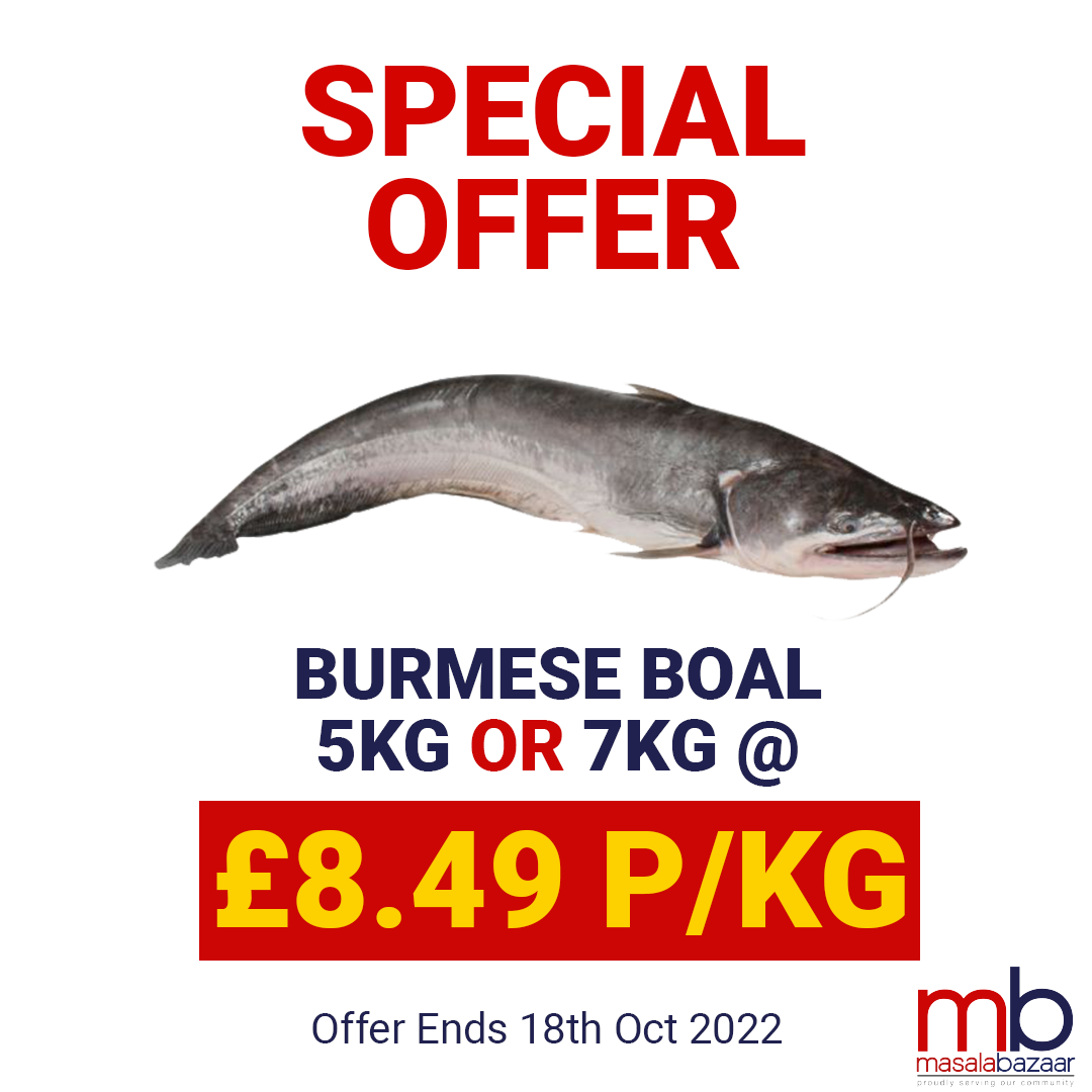 boal-burmese-special